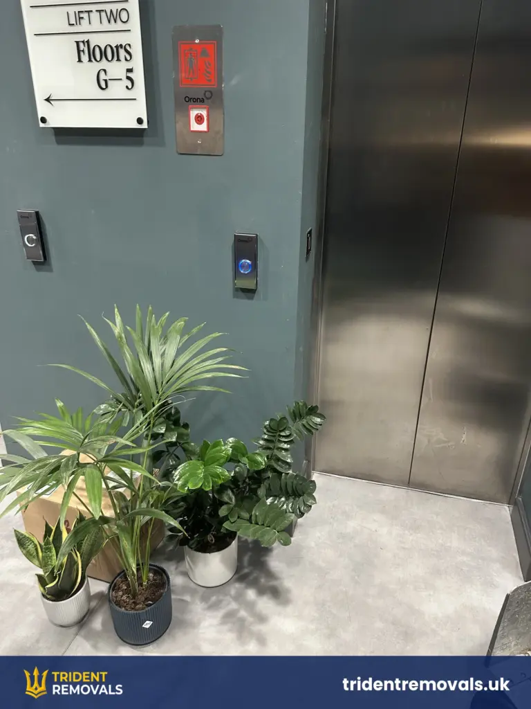 Plants waiting by the lift on the way up to a 4th floor flat in Salford Quays